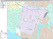 Costa Mesa  Wall Map Premium Style